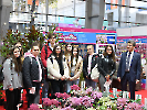Gardenia_10
