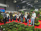 gardenia_31